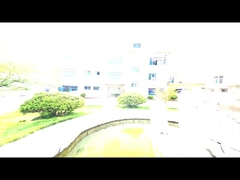 रूट्स ब्लोअर