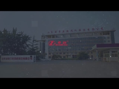 प्रत्यक्ष युग्मन ड्राइव 110KW-1400KW रेटेड पावर के साथ तीन रूट ब्लोअर